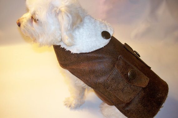 Vegan leather bomber jacket for dogs