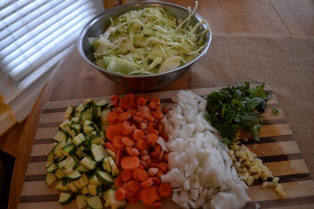 curtain minestrone 059