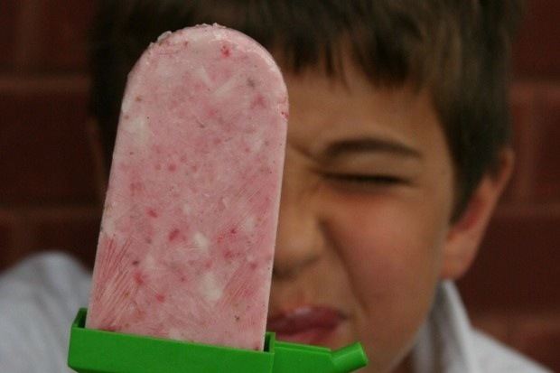 Breakfast Popsicle