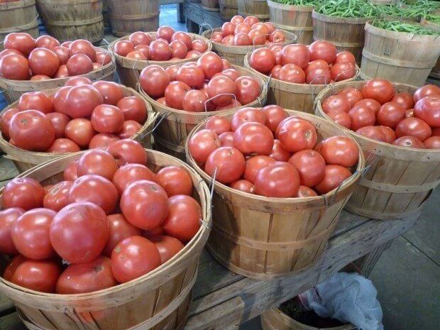 tomatoes 620x465 1