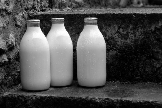 glass bottles milk