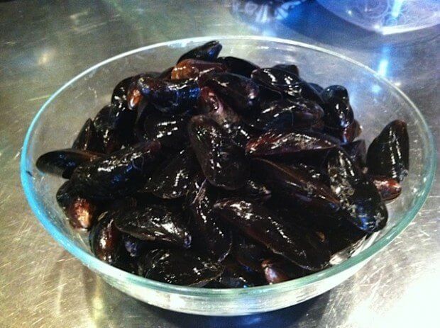 mussels