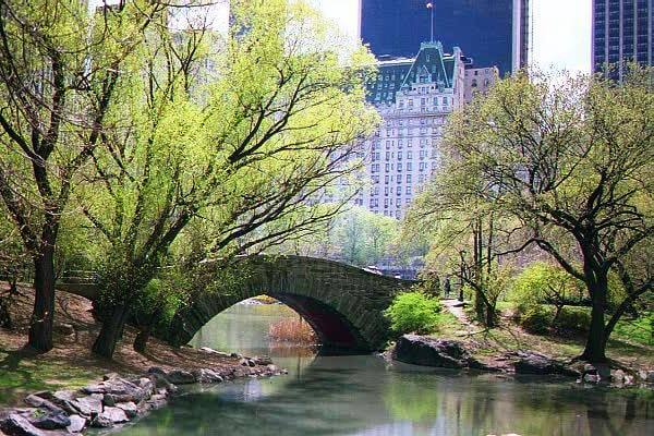 central park river bridge1