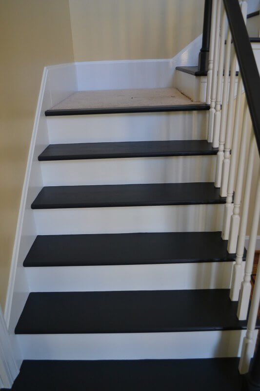 stairs plants 001