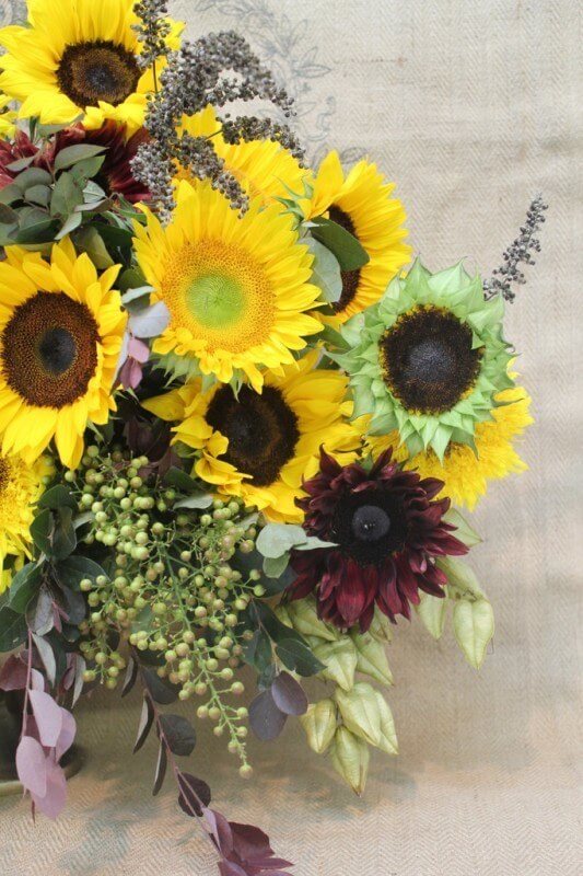 HollyBryan sunflowers with fillersdetail Sept 2013