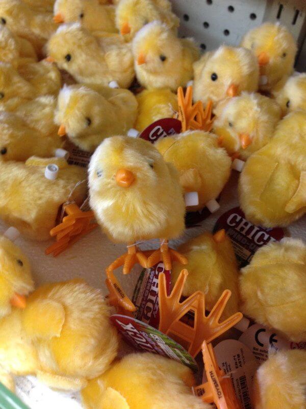 Wind-Up Chicks at Richard's Variety Store 