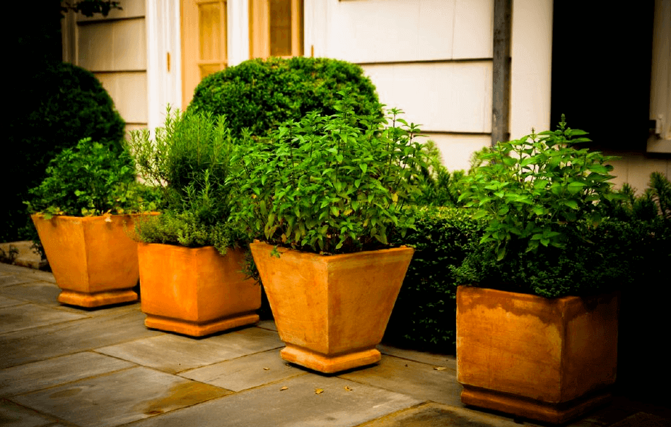 page duke large pots 2