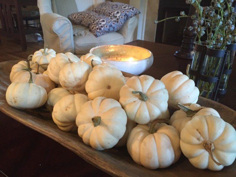 white pumpkins in bowl