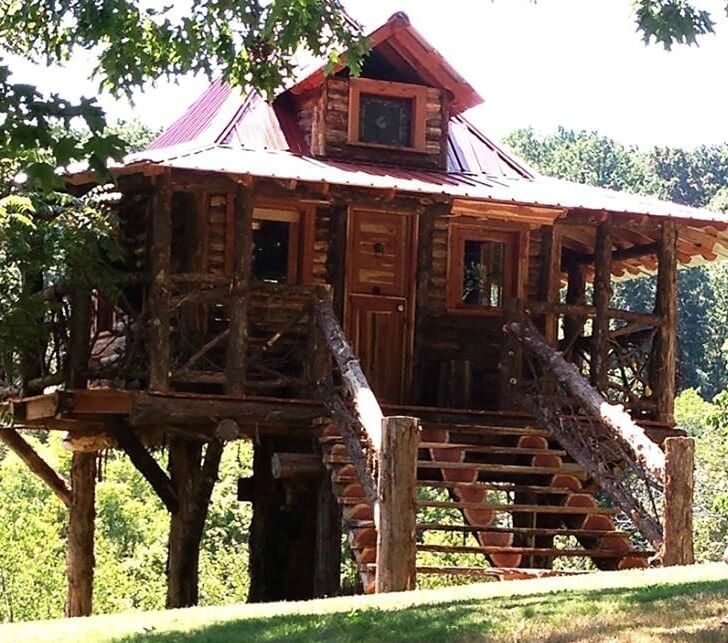 Moonshine Hill tree house