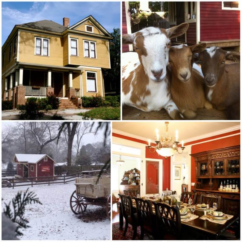 A little bit country right here in the city. Snuggle up at The Social Goat b-n-b and enjoy the gift of simplicity.|Image credit The Social Goat)