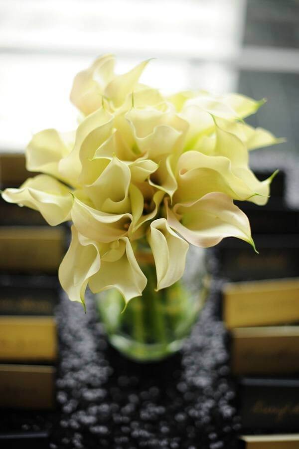 Hometown NBA Star marries in Louisville in a lavish wedding. More beautiful orchids at the reception.