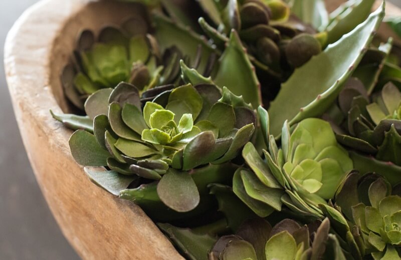 Faux succulents in a wooden bowl | image credit: Julie Wage Ross