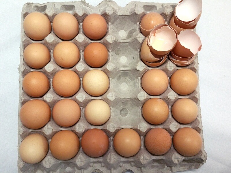 Fresh eggs used at Cafe Dupont are sourced from a young preacher who recently decided to try his hand at chicken farming.