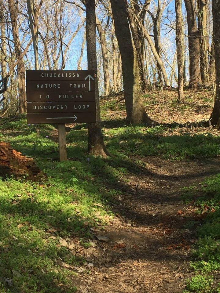 Besides hiking, there are 1,000-acres of park you can discover! Image: T.O. Fuller State Park T.O. Fuller State Park