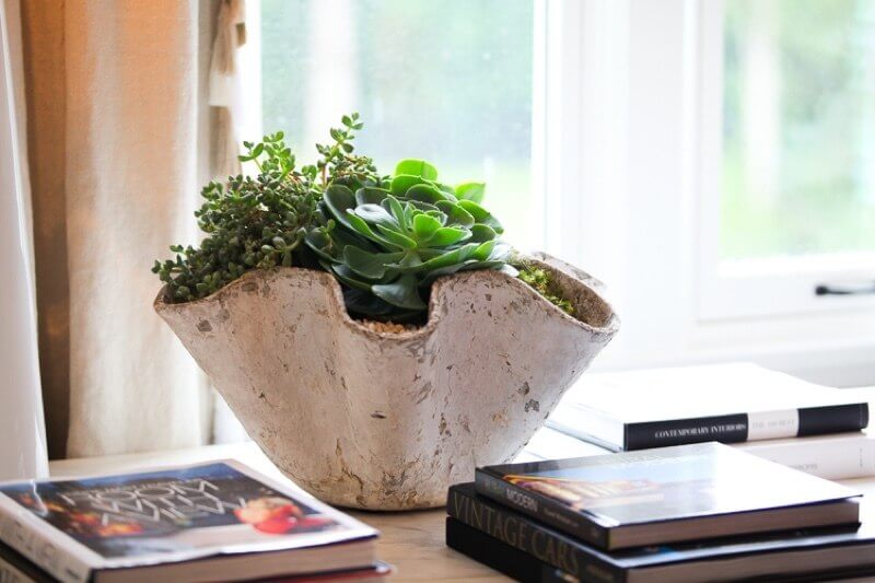 4 Easy Ways to Green Up Your Living Spaces