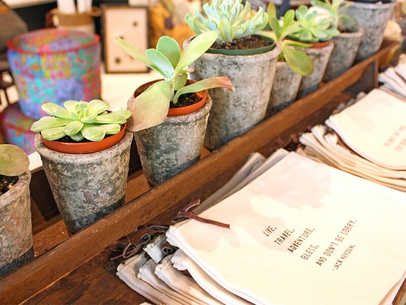 We love this neat little line of succulents!