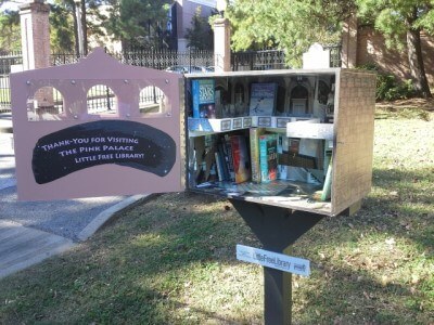 Pink Little Free Library Little Free Libraries: What They Are and Where to Find One