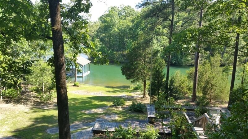 The lush greenery of Lake Martin's forests