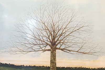 FEATURED SBNville Luxe Loves Bennett800 533