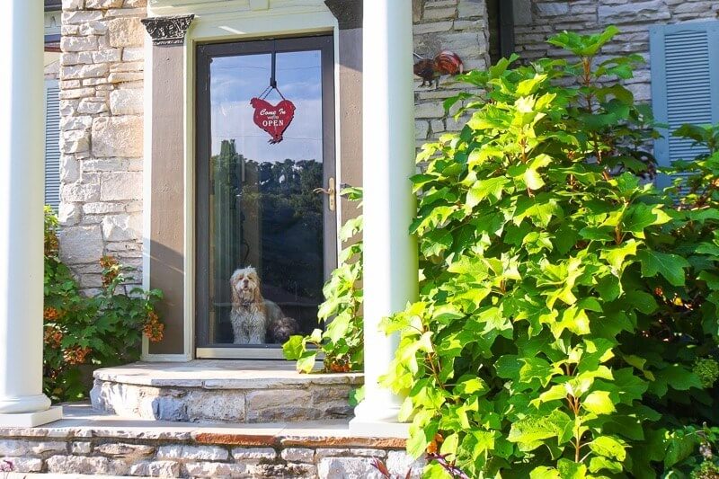 You'll be greeted at the front door by a sweet "Come In, We're Open" sign and an even sweeter pup. Part of the Johnny Haffner Catering Pop Up dinners in Nashville. Grannis Photography