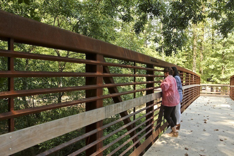 Wendy enjoys a deeply rewarding moment watching the children splash in the creek below as the sunlight gently filters through the canopy of trees above.