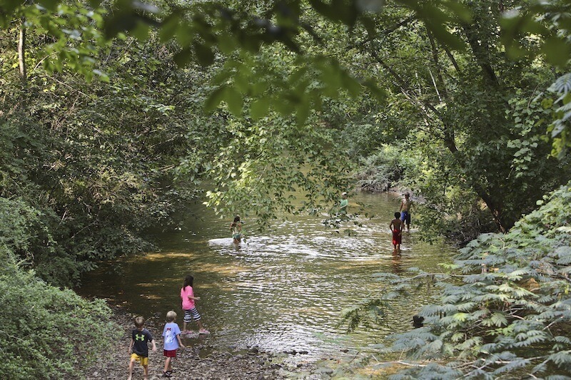 The water level at Shades Creek in McCallum Park is perfect for these kids enjoying the last days of summer vacation.