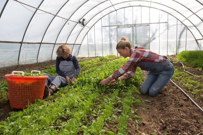 Foxhollow Farm: Change is Good