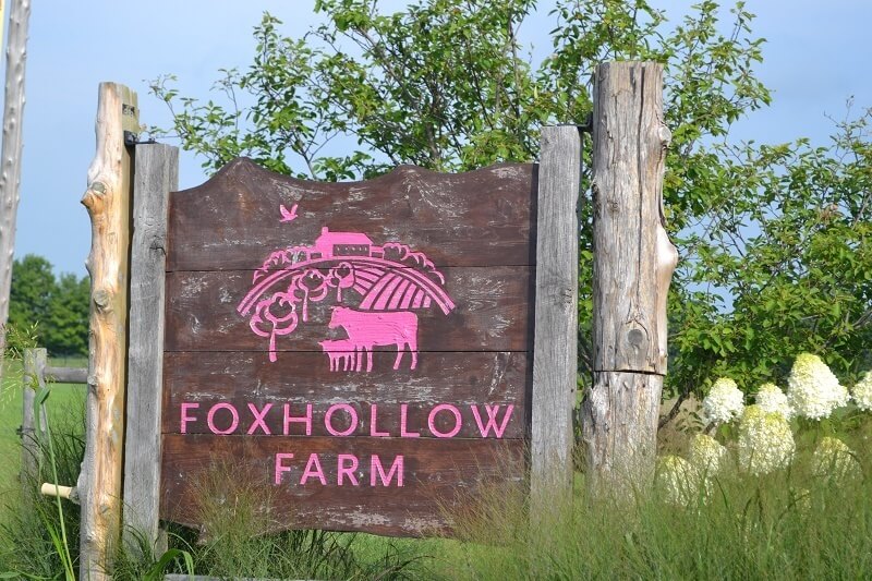 Foxhollow Farm: Change is Good