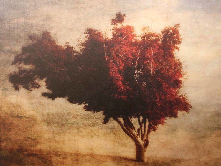 Tree of Wisdom by Christine Patterson