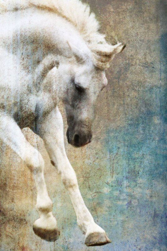 Untamed Spirit by Christine Patterson