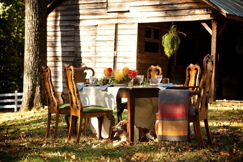 We found the ideal setting for our Harvest Party in one of the attendees' picturesque sprawling back yard situated beside an old farm house and surrounded with a lovely white picket fence.