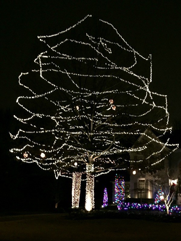 Memphis Christmas lights 2015