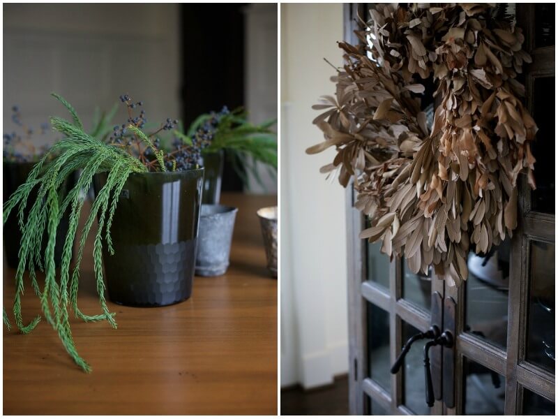 plant decor