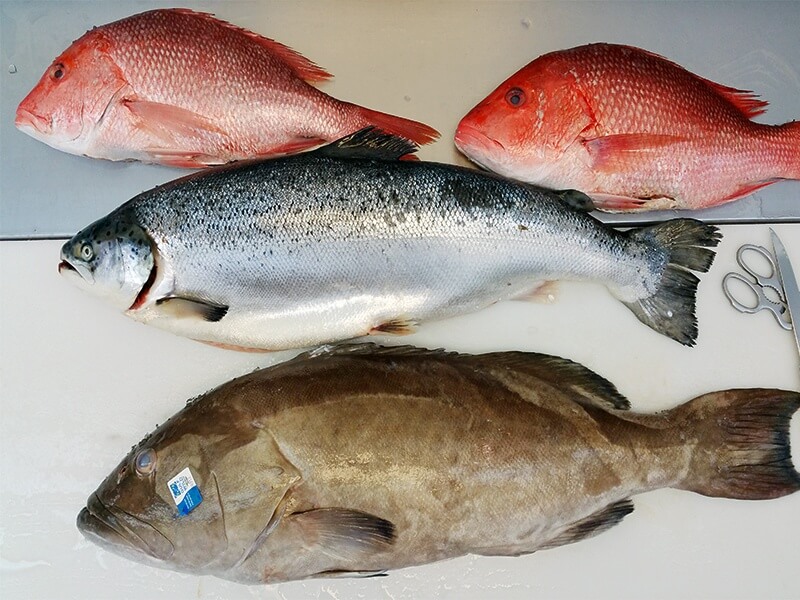 fresh whole fish