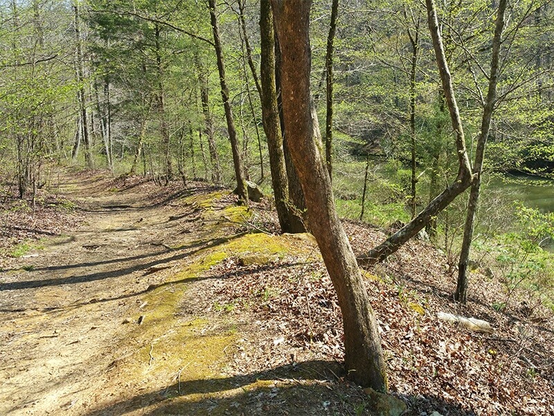 There are so many beautiful trails for hikers and bikers at Tannehill.