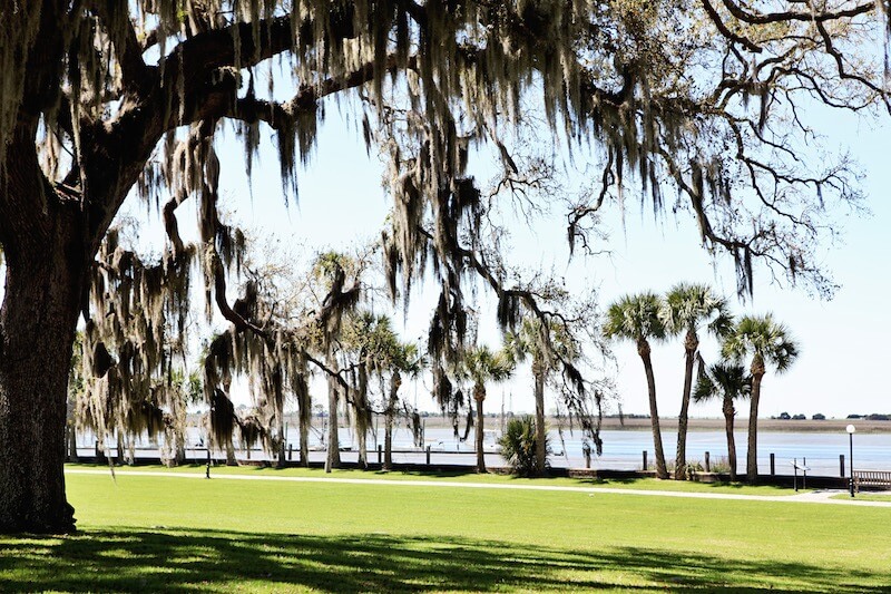 We love the Spanish moss hanging from the oaks. And here you can also see a view of the marsh. 