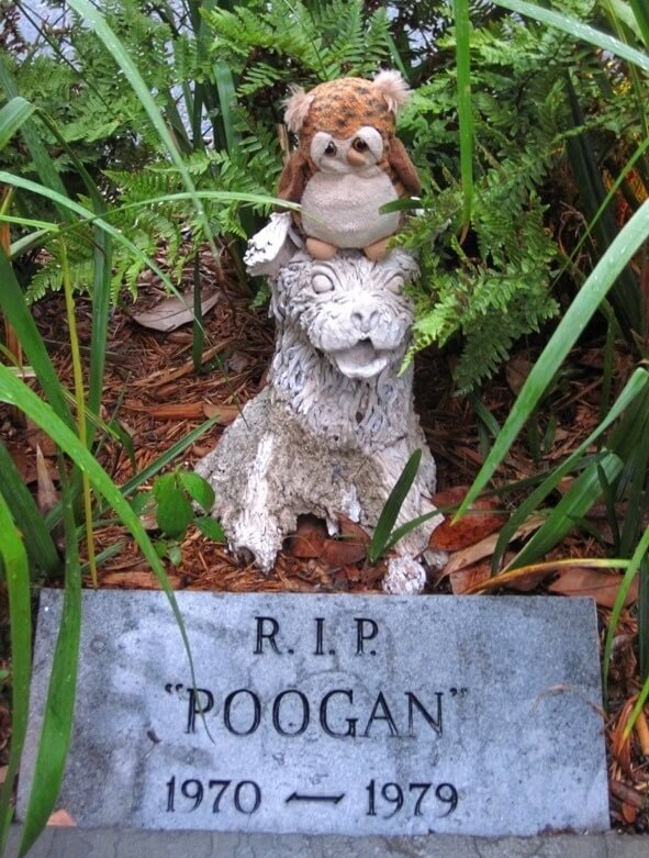 Pay homage to the original Poogan. Image via Flickr Creative Commons/Via Tsuji Pay homage to the original Poogan. Image via Flickr Creative Commons/Via Tsuji