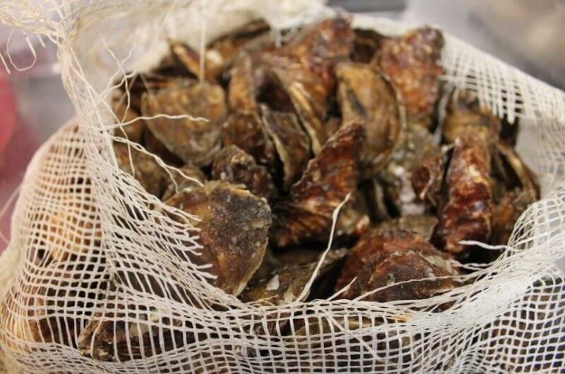 oysters Louisville