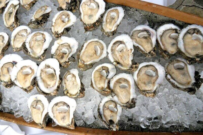 oysters Louisville