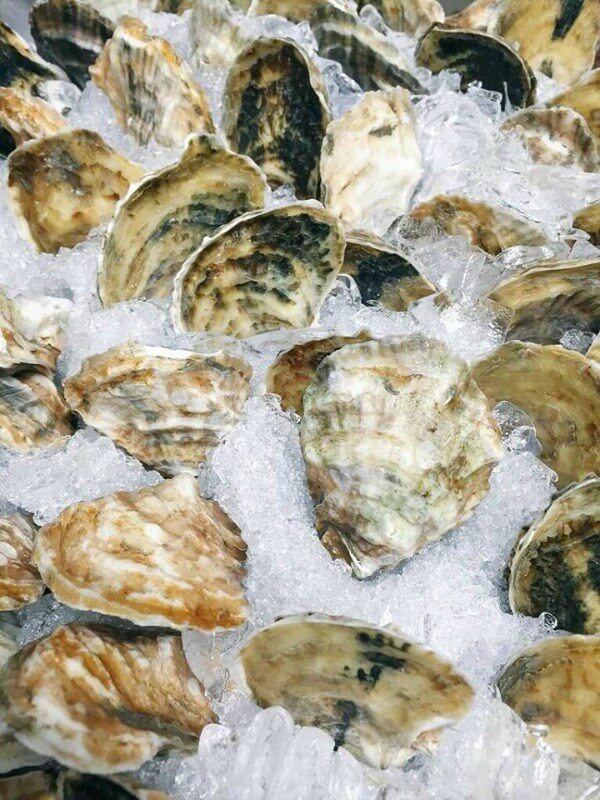 11 Louisville Restaurants Serving Up Raw Oysters
