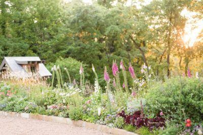 This May Be One of the Most Beautiful Yards You'll Ever See!