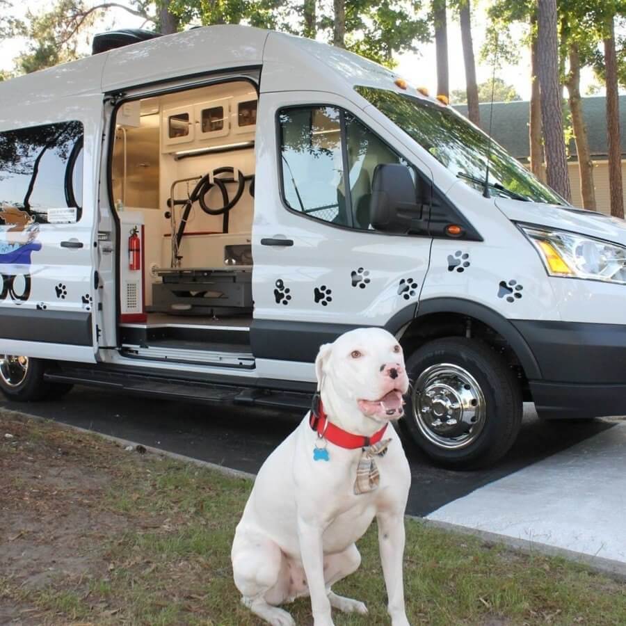Give your pets a pampering Give your pets a pampering with help from this southern mobile business