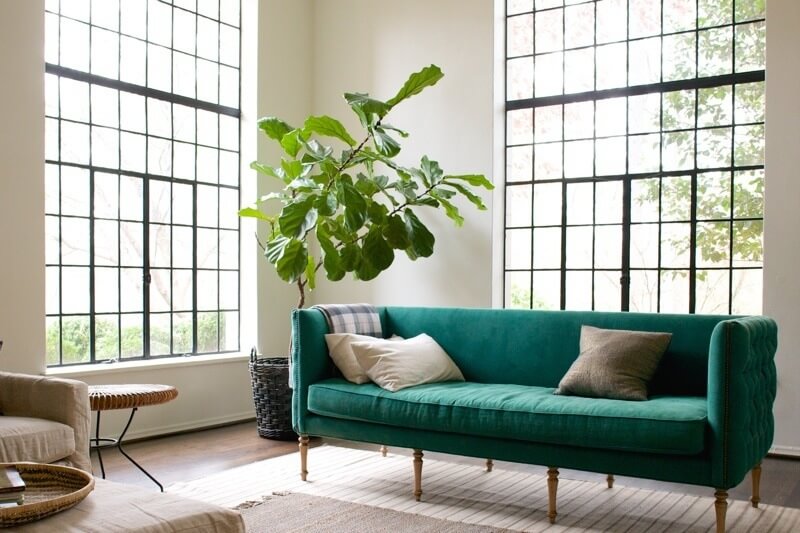 A 1930s Homewood Home Gets a Makeover (and It’s Fabulous!)