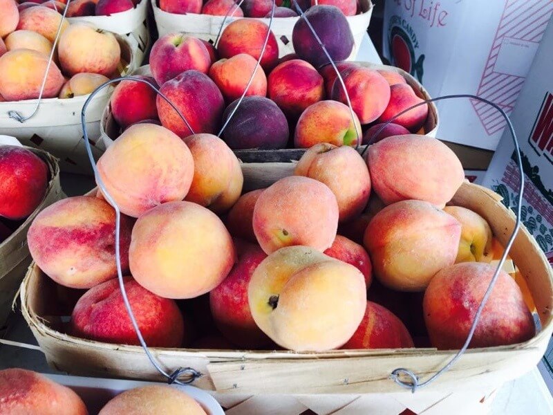 Peaches at Ingram Farms Market | Image: Ingram Farms Market