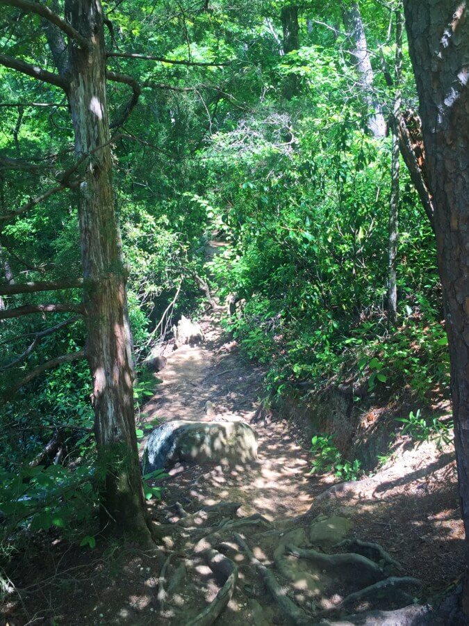 Hiking the trails surrounding the lake is a great way to get out and connect with nature. 