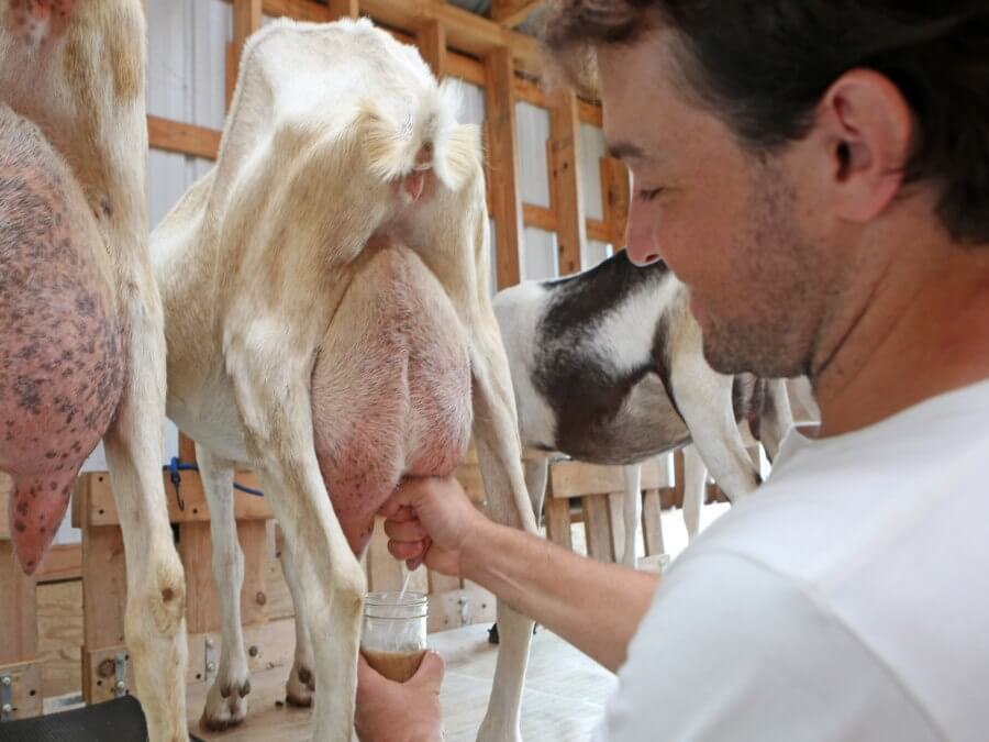 Learn about Little Seed Farm and the art of soap making! 