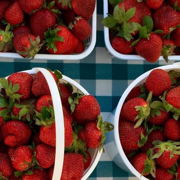 Everyone loves strawberry season at the Market at Pepper Place! Image: @pepperplacemarket Everyone loves strawberry season at the Market at Pepper Place! Image: @pepperplacemarket
