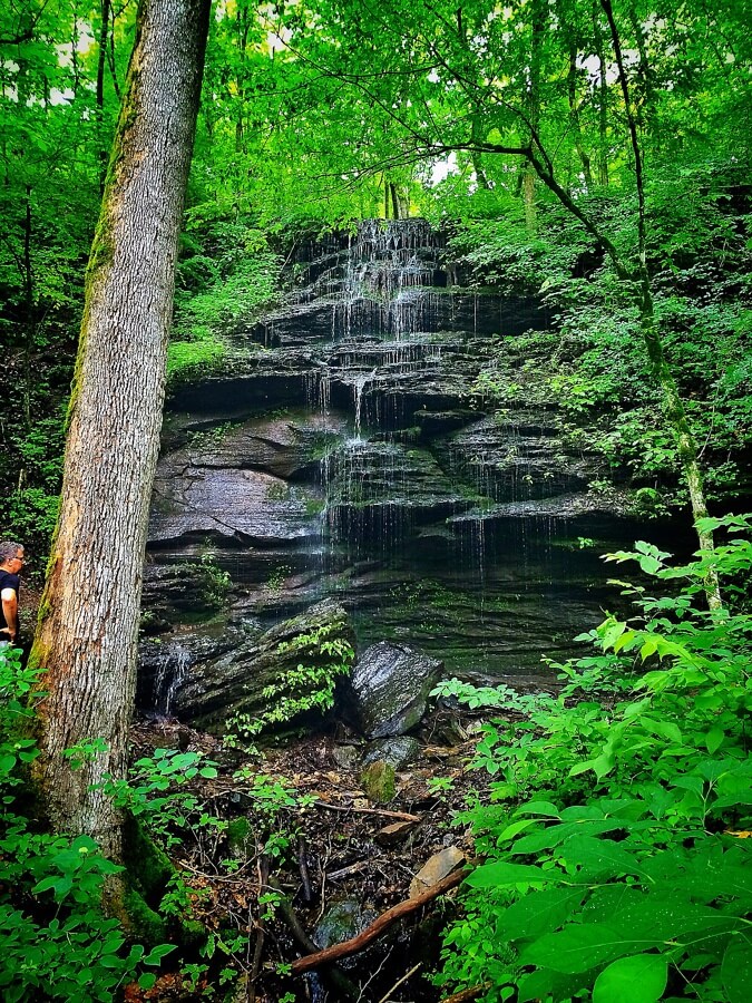 Fall Hollow