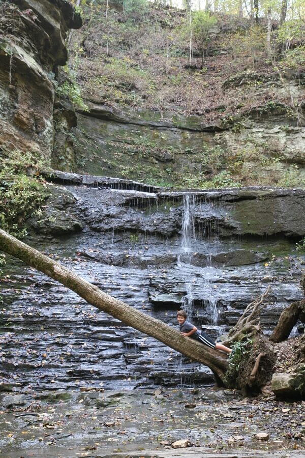 Jackson Falls