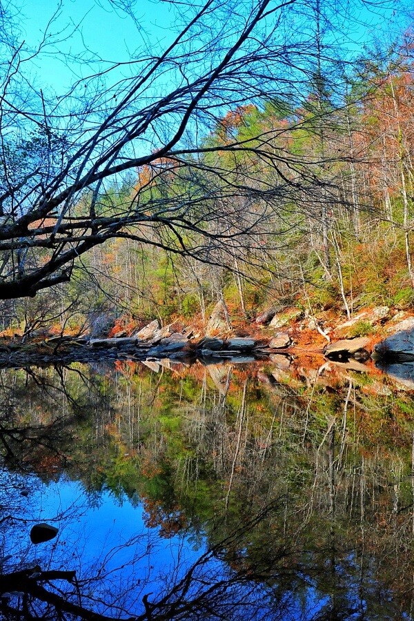 The Gentlemen's Swimming Hole 